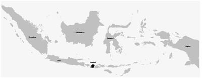 Impact of COVID-19 pandemic on the existence of social solidarity: evidence from rural-urban communities in Lombok Island, Indonesia